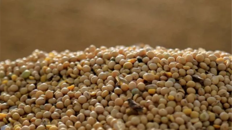 التموين تتعاقد علي نحو ٦٥ الف طن زيت صويا خام محلي