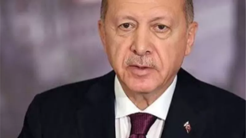 معارض تركي : اردوغان يدعم جماعة الاخوان الارهابية لتحقيق احلامه غير المشروعة في المتوسط