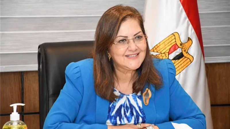 وزيرة التخطيط: منظومة 
