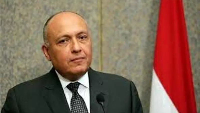شكرى يتلقى اتصالا من نظيره السعودى للتباحث حول قضايا الاهتمام المشترك