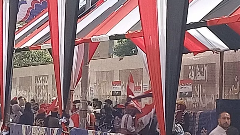 بالفيديو و الصور .. لجان الزيتون تستقبل الناخبين بالأغانى الوطنية والأعلام المصرية