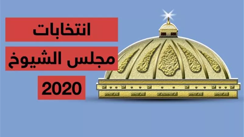 انزل شارك في صنع مؤسسات بلدك.. كل ما تريد معرفته عن انتخابات مجلس الشيوخ 2020.. فيديو