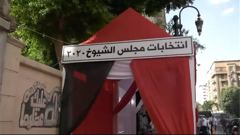 مجلس الشيوخ 2020.. تعرف على اجراءات الدخول للجنة الانتخابات والتصويت