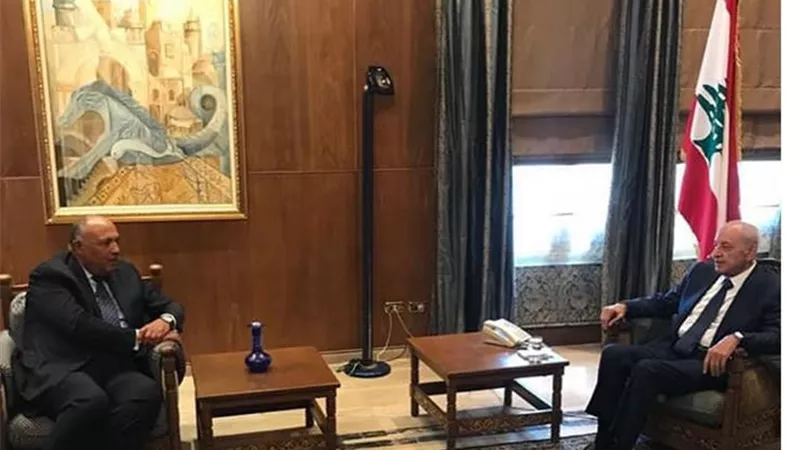 سامح شكري يبحث مع رئيس مجلس النواب اللبناني سبل دعم لبنان الشقيق لتجاوز هذا الظرف الدقيق