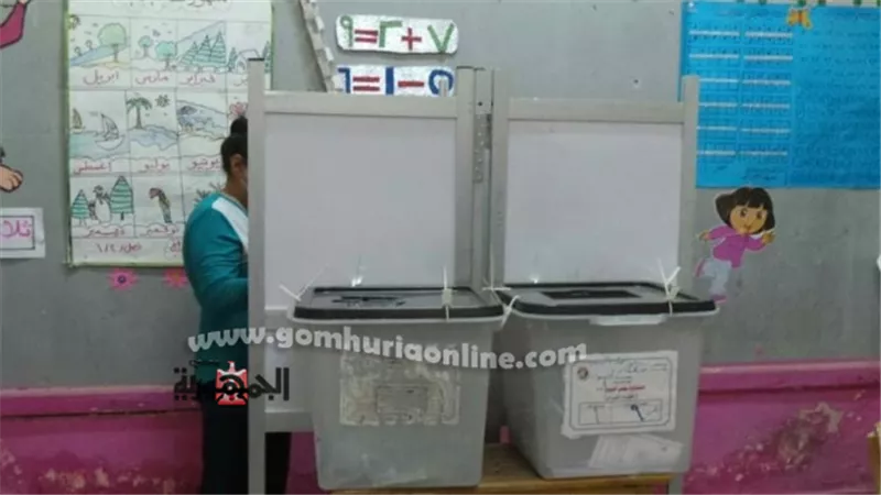 سيدات أسوان يتوافدن على انتخابات الشيوخ قبل إغلاق اللجان