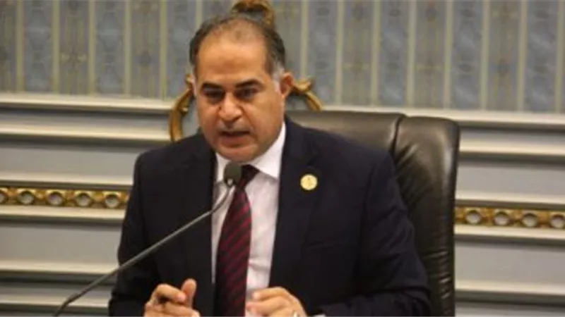 «وهدان» يناشد بحل فوري للأحزاب: «شوكة في ظهر الدولة»