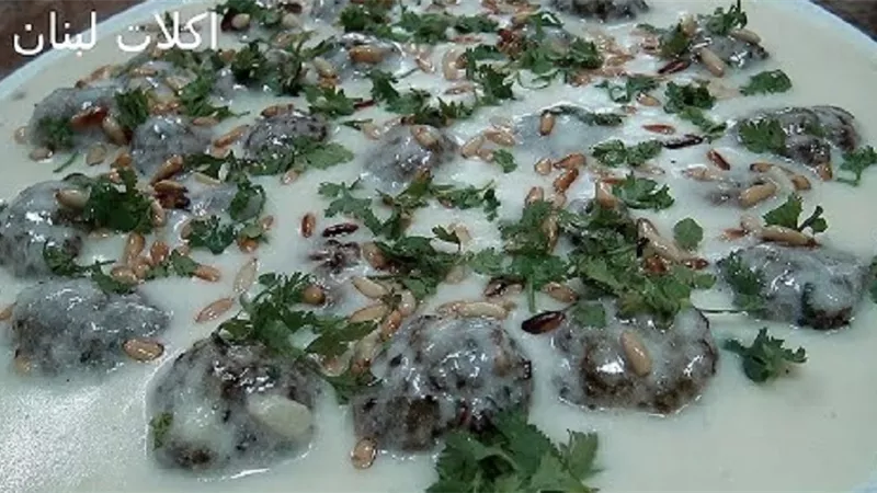 الكباب باللبن الزبادى ولا اروع من المطبخ اللبنانى بالفيديو