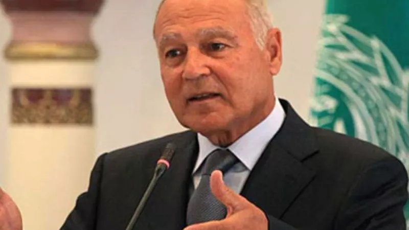 أبو الغيط يبحث مع الرئيس محمد عبد الله فرماجو دعم الجامعة العربية للصومال