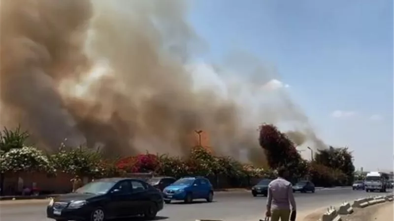 حريق هائل في نادي الرماية بالقاهرة والحماية المدنية تحاول السيطرة ..فيديو