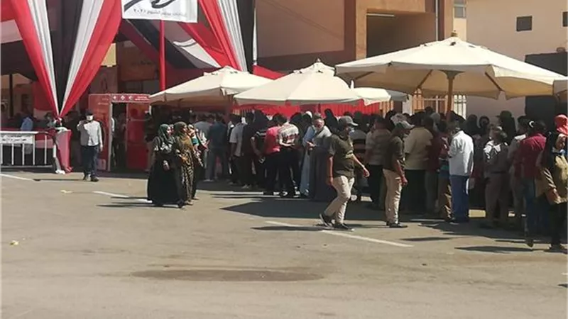موسى: المصريون تحدوا كورونا والحر للمشاركة فى انتخابات الشيوخ