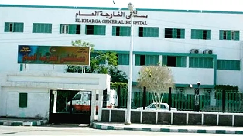 مصرع شخص واصابة ٩ آخرين فى حادث إنقلاب سيارة ربع نقل بالوادى الجديد