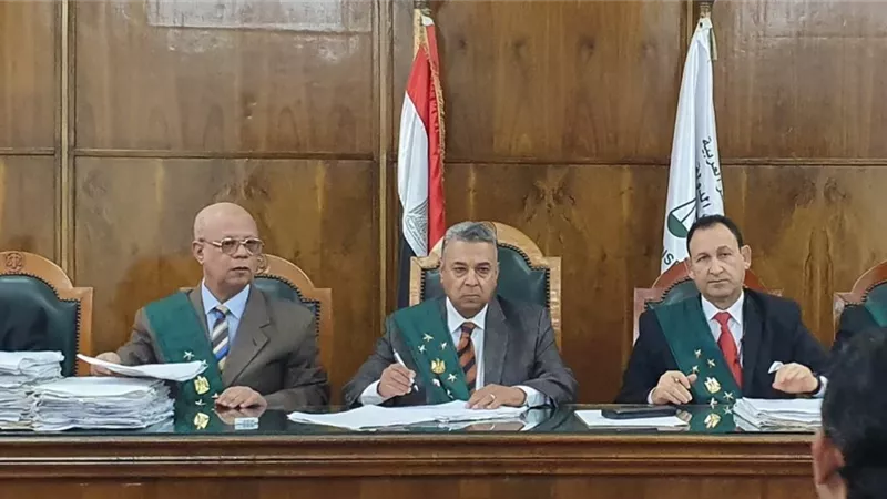 بطلان قرار إحالة 4أساتذة قذفوا رئيس أكاديمية الفنون بالطماطم والقُلل