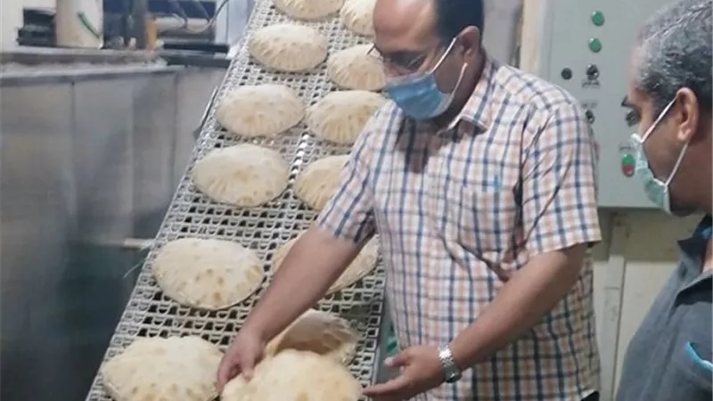 حملة تموينية لضبط عمل المخابز وأسعار السلع بالدقهلية