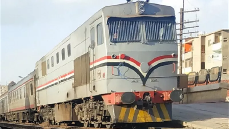 الأرانب عطلت قطار الصعيد ببنى سويف