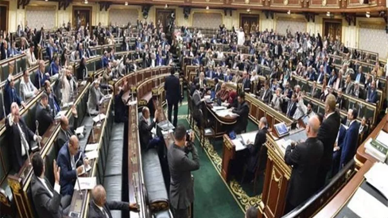 مشروعات النواب: توافق على منحة لتمويل مشروع خلق فرص عمل للمرأة بالصعيد