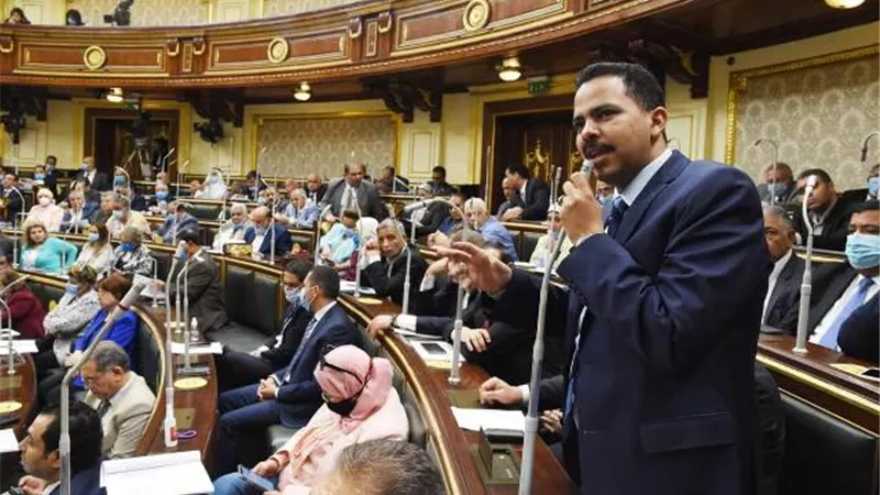 نائب رئيس مستقبل وطن : قانون تقسيم الدوائر لم يوضع الا بعد حسابات دقيقة جدا