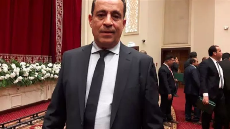 عضو عليا الوفد: عقوبات التنمر تؤكد قرب البرلمان والحكومة من الشارع المصري