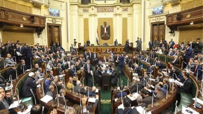 مجلس النواب يحدد موارد تمويل صندوق دعم الأشخاص ذوي الإعاقة