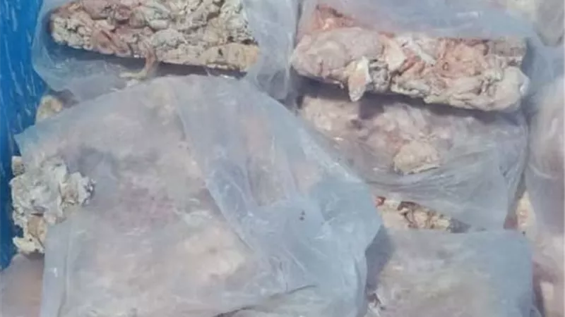 ضبط ٦ طن لحوم مفرومة فاسدة و دهون غير صالحة قبل طرحها بحى شمال الجيزة