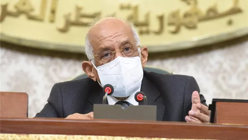 البرلمان يوافق لوزير المالية بضمان الشركة القابضة لمصر للطيران بتمويل 3 مليارات جنيه