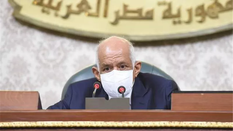 عبد العال: قانون تقسيم الدوائر الانتخابية فني لا يمكن ان يرضي كل النواب