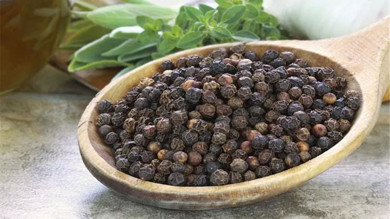 الفلفل الاسود دواء فعال لعلاج مشاكل روائح الفم الكريهة