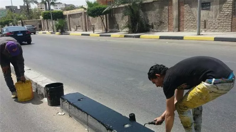 حملات فورية وتجميل حى المنتزة ثان