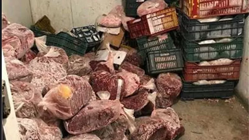 الزراعة