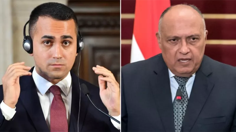 شكري ونظيره الايطالي يتفقان على عقد عدد من اللقاءات لبحث الحلول السياسية للازمات في المنطقة