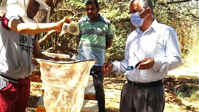 رئيس مركز الداخلة يتفقد مشروعات الشباب ويوجه بتذليل العقبات - صور