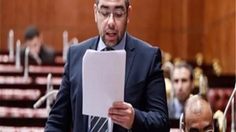 النائب محمد فؤاد: المحاكم تشهد تكدسا كبيرا ومعاناة فى الحصول على الخدمة