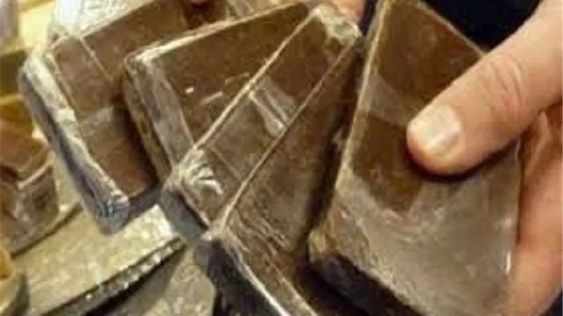 ضبط 50 كيلو بانجو و١٠٢ طربة حشيش بالاسماعيلية