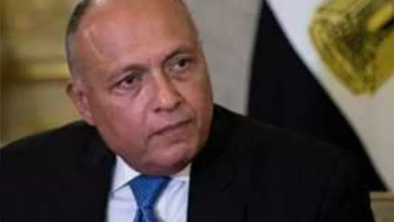 الوزير سامح شكري ونظيره الألماني يبحثان آخر تطورات الملف الليبي والقضية الفلسطينية