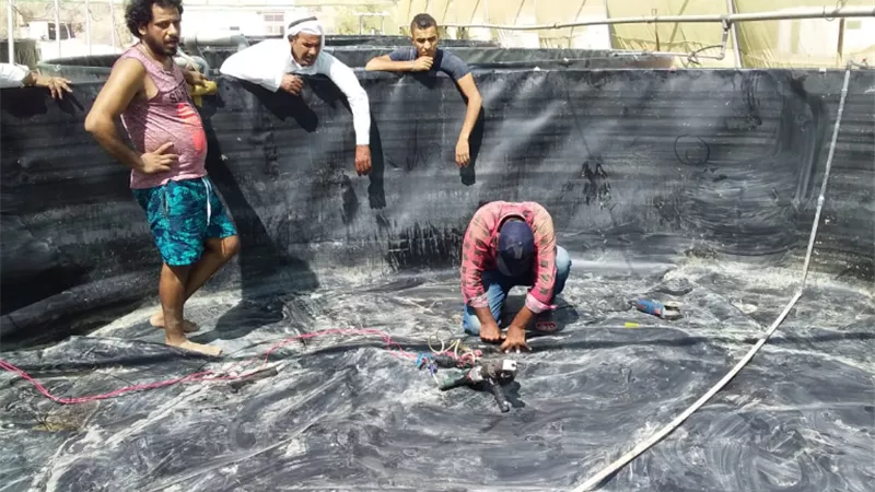 الزراعة:انشاء مزرعة سمكية في محافظة جنوب سيناء