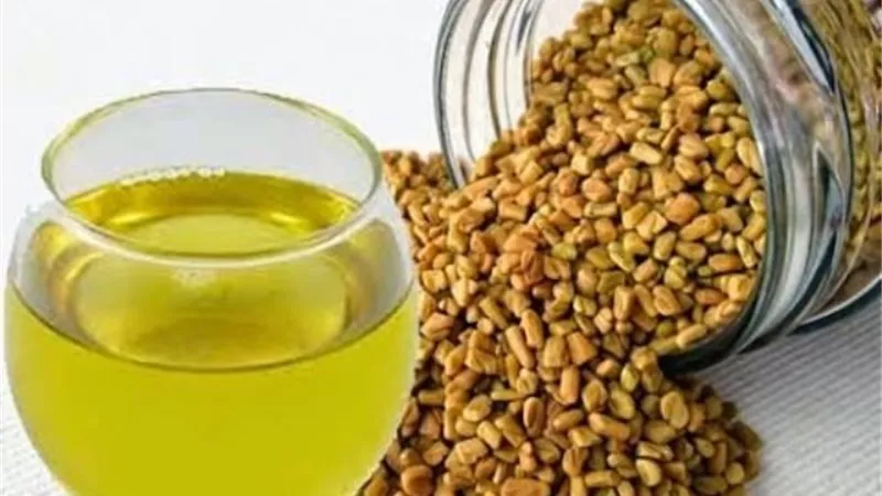 ماذا يحدث للجسم عند تناول الحلبة بالماء يوميا
