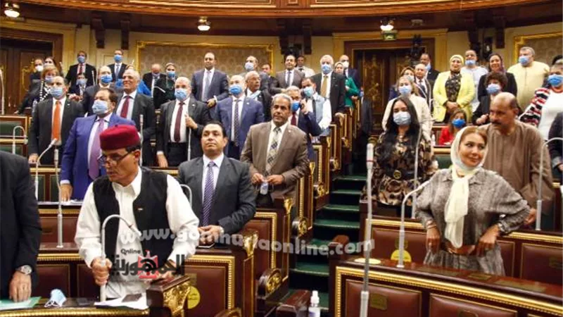 مجلس النواب يوافق نهائيا على قانون رعاية المريض النفسى