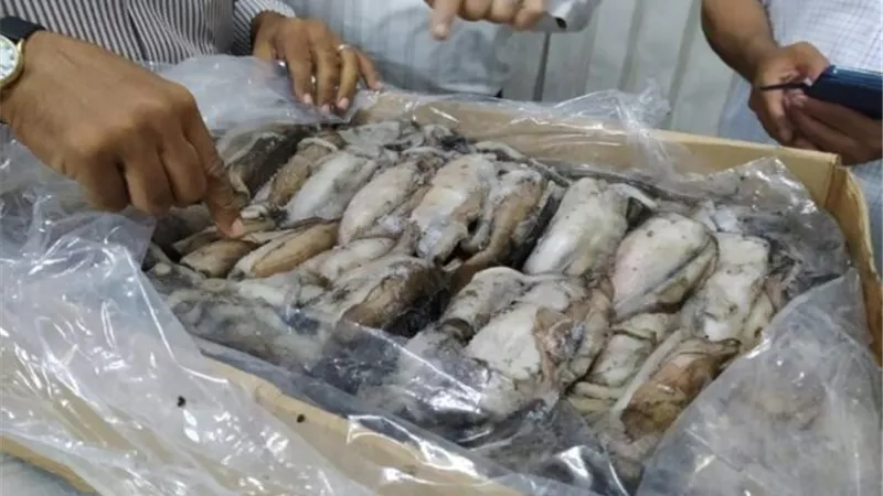 ضبط 1902 صنف من مواد غذائية في حملات مكثفة من الرقابة الادارية بثلاث محافظات