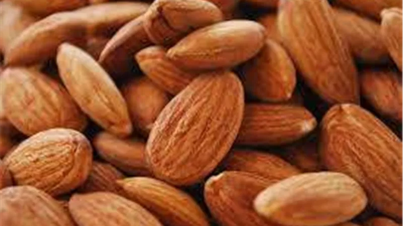 منها اللوز والفطر.. اطعمة يحظر تناولها نيئة