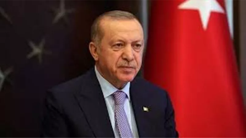 بالفيديو.. خبير: أردوغان يسعى لتفكيك الجيش التركي وتكوين ميليشيات لحماية نظامه