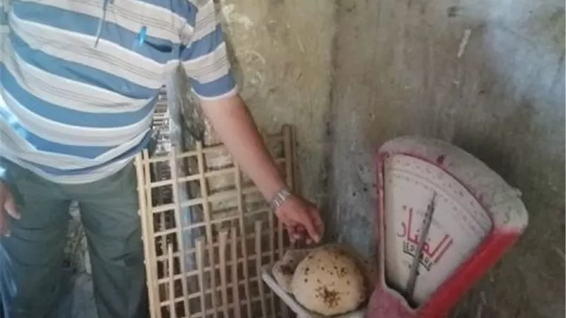 حملات بومية لمتابعة التعديلات الجديدة لمنظومة الخبز في الإسماعيلية