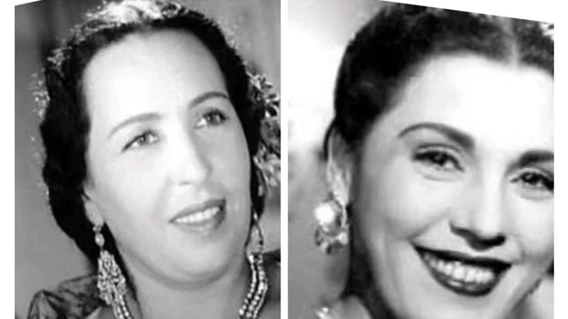 امينة رزق .. ابكت وحش الشاشة ووصفتها تحية كاريوكا 
