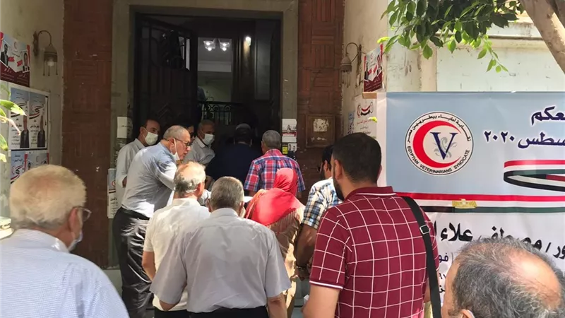 انطلاق انتخابات الأطباء البيطريين على مستوى الجمهورية