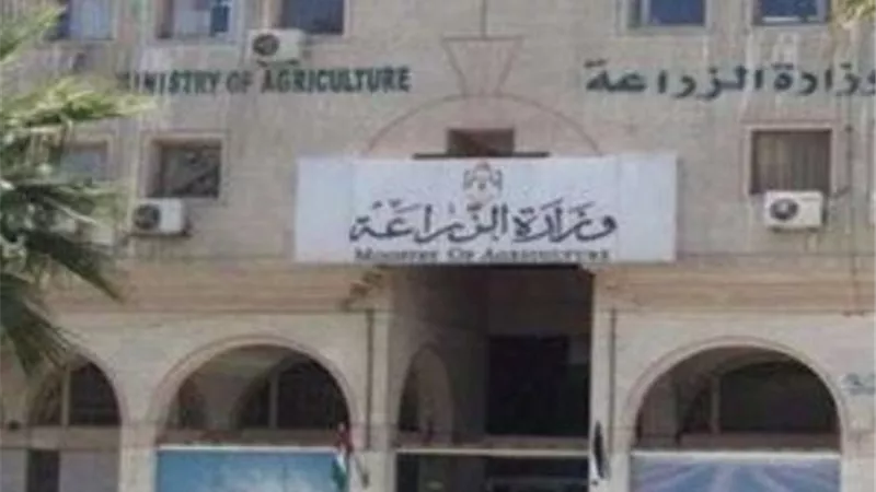 مواقف يومية تستدعي غسل اليدين في زمن كورونا
