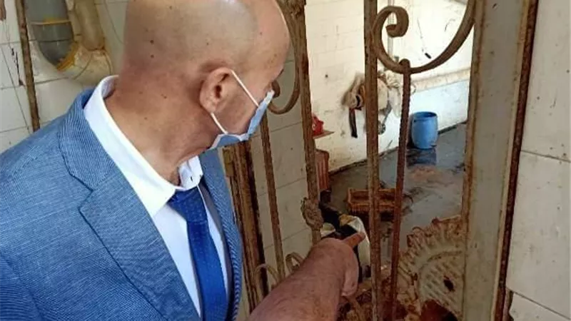غلق مجزر وإعدام 420 كيلو هوالك دواجن في بلبيس بالشرقية.صور