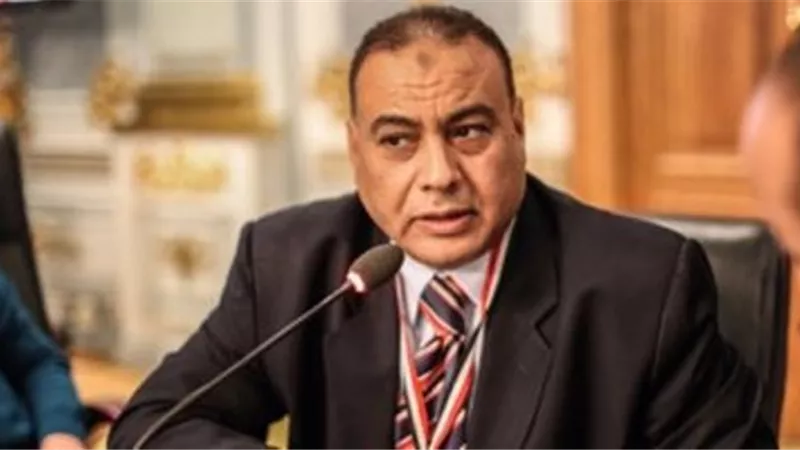 محمد سليم: إشادة ملك الأردن بالدور المحوري لمصر في مواجهة الإرهاب يؤكد ريادة القاهرة تحت حكم السيسي