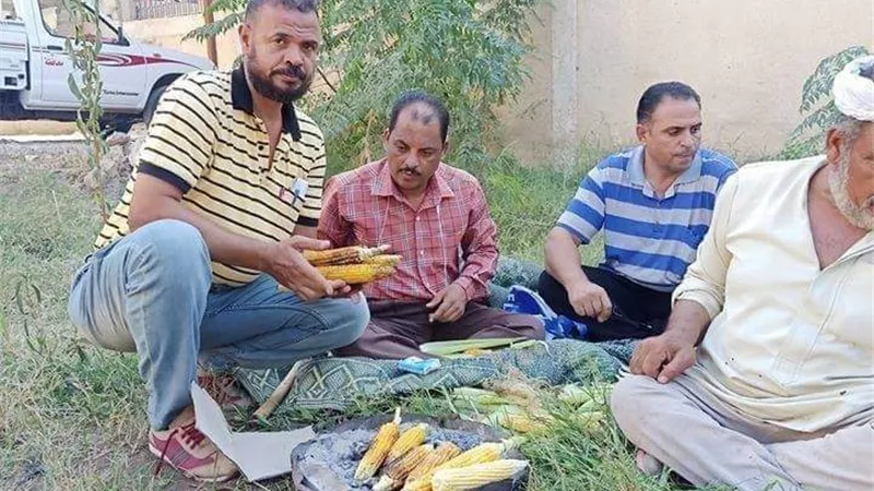 إحالة 4 موظفين للتحقيق في واقعة 