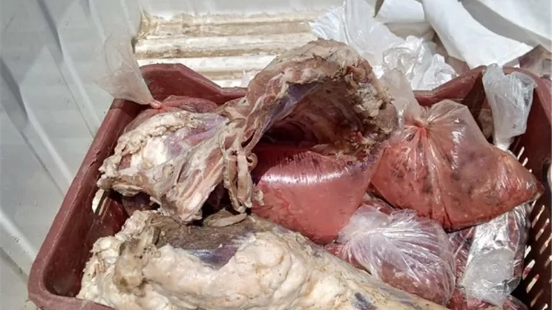 ضبط 900 كيلو أسماك غير صالحة ولحوم بدون أختام بالفيوم