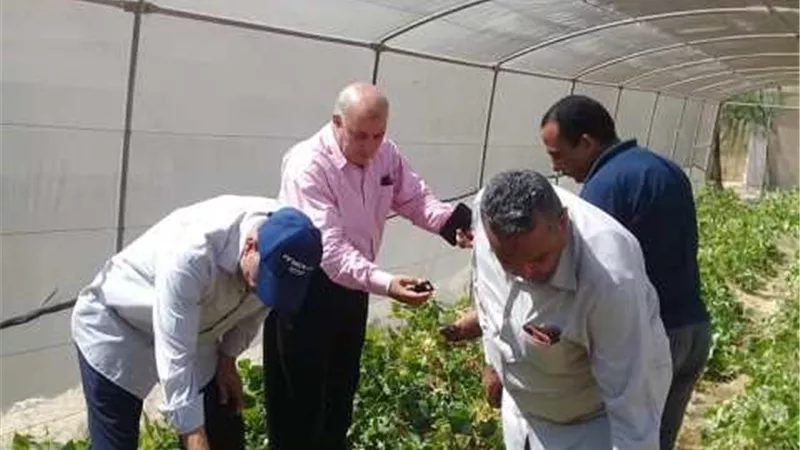رئيس مكافحة الأفات بوزارة الزراعة يتفقد معامل المفترس الأكاروسي بالإسماعيلية .صور