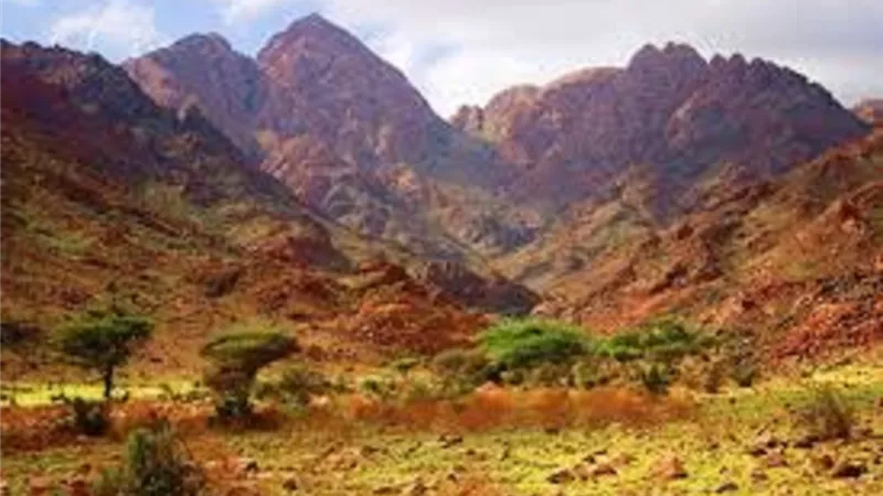 البيئة تنفى زيادة رسوم التخييم بالمحميات الطبيعية بسيناء والبحر الأحمر