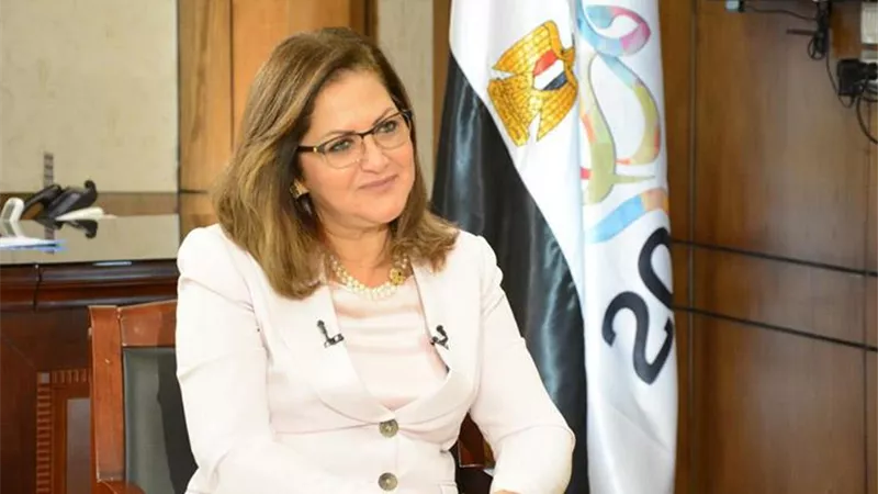 التخطيط تستعرض آراء المؤسسات الدولية في الوضع الاقتصادي لمصر أثناء جائحة كورونا